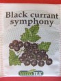 012   Black currant symphony
